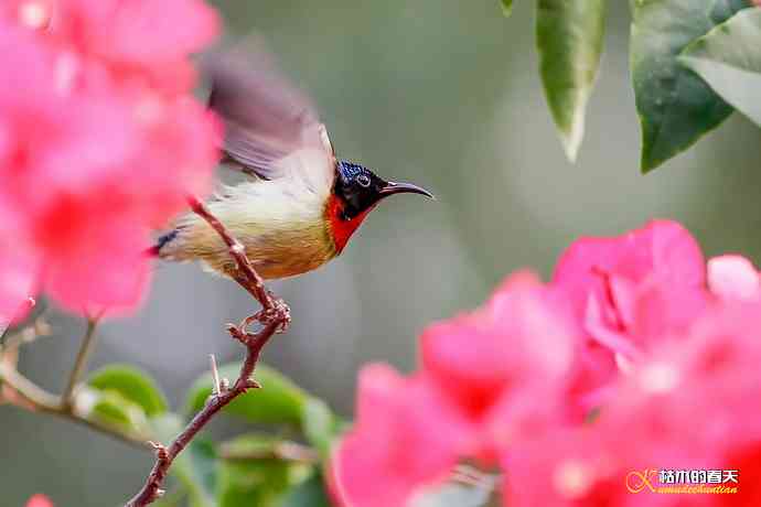 我的鈥溙翕濃斺斚妹排拟湶嫖蔡裟疋