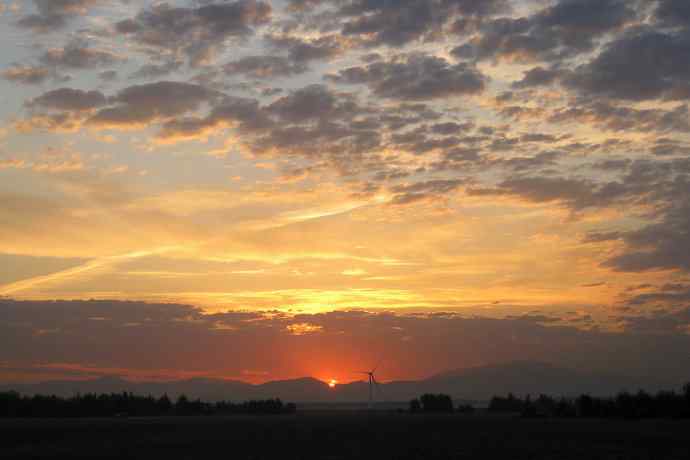 阿穆尔隼：野鸭湖黎明观猛*