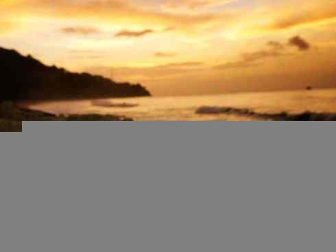 自然奇观：动物大迁徙(棱皮龟类)