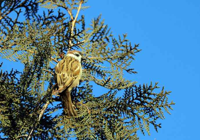 随走随拍（杂片）