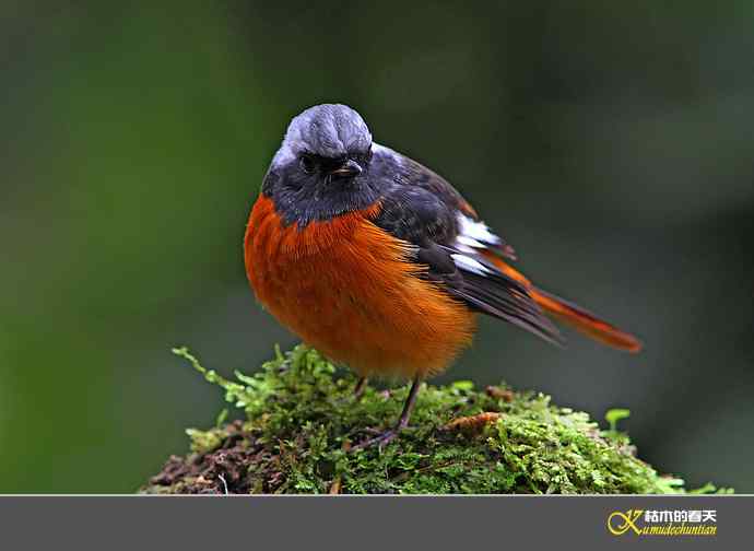 近拍鈥湵焙煳拆垛潯臼蹬摹