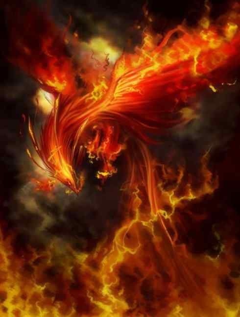 凤凰:传说的鸟 凤凰:传说的鸟