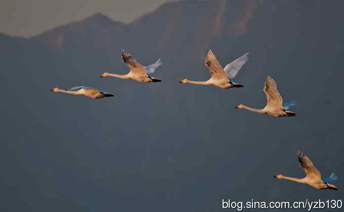 今日野鸭湖鈥斺敶筇於欤ㄗ橥迹20张图片）