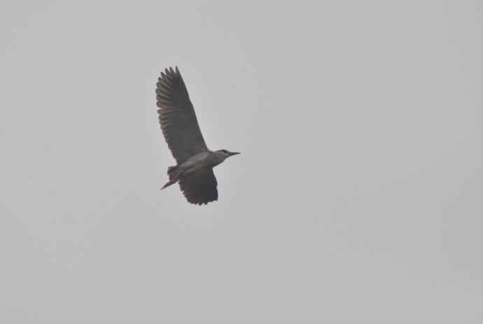 20100505当日总结 20100505当日总结