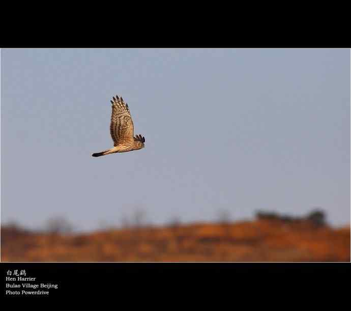 【人间四月天】