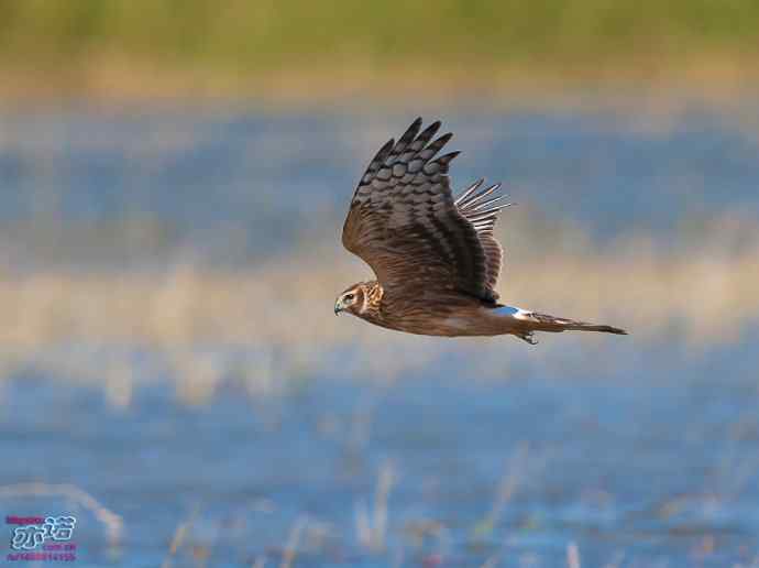 官厅水库&nbsp;wbr路&nbsp;wbr金秋十一猛