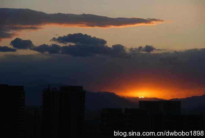 朱雀和北宫的鸟 朱雀和北宫的鸟