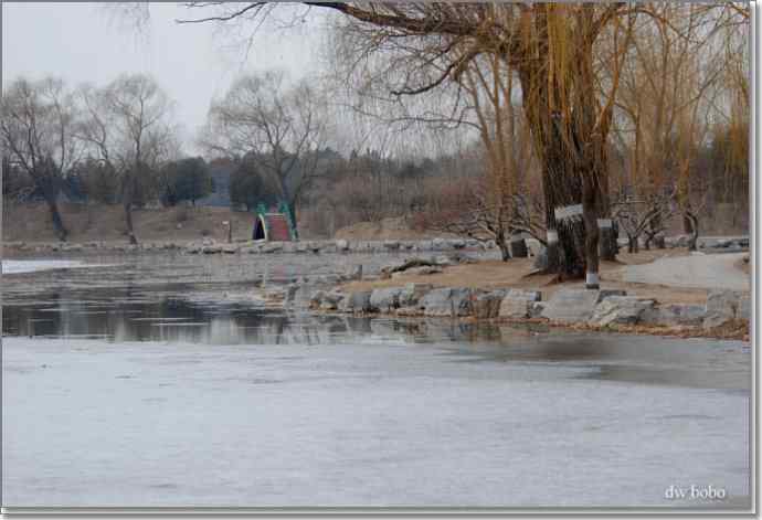 参加自然之友观鸟活动