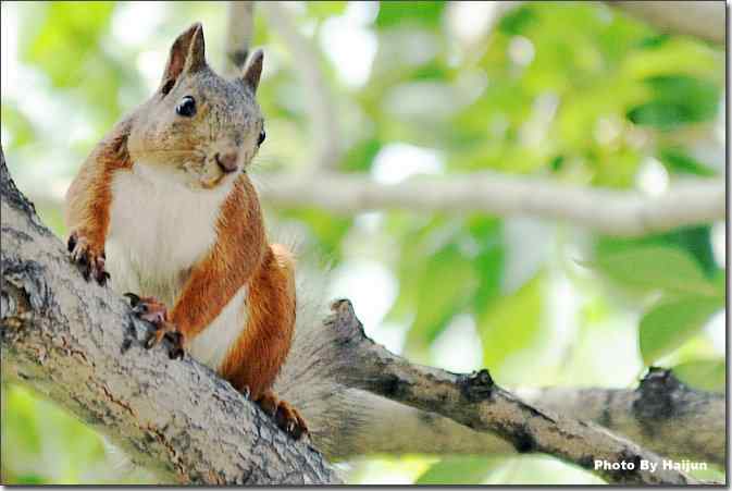  点击图片或使用键盘← →翻页