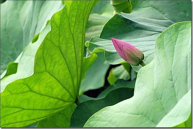 游北宫国家森林公园