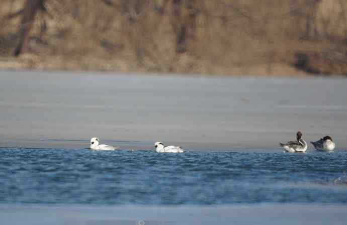 美好记忆鈥斺斣那锷逞