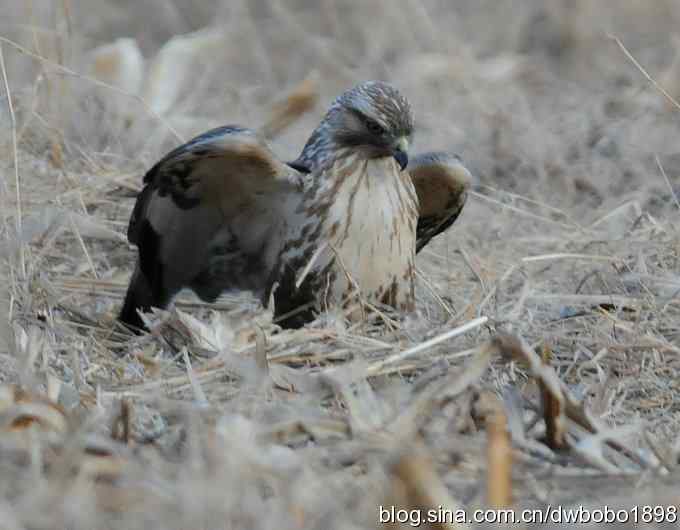 岁末再访白河峡谷