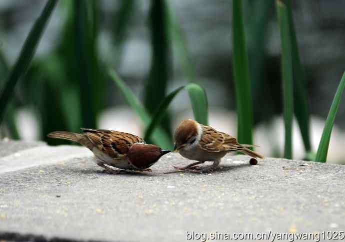 母爱（纪实篇）