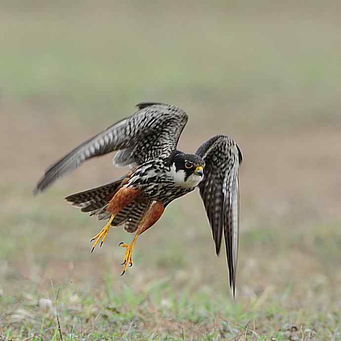 狂野周末鈥斺斆颓萜ㄅ级舭妫