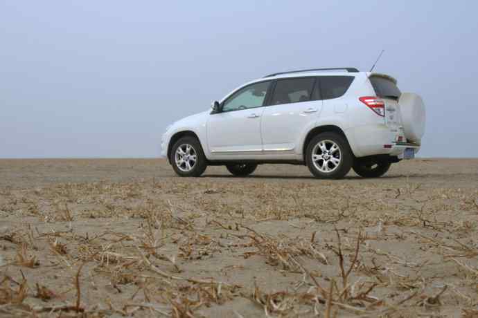 早春二月（猛禽搜索）