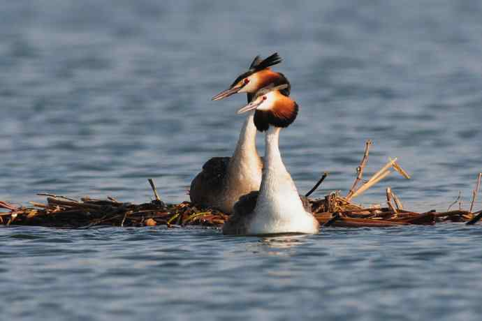 清明假日惬意的午后时光