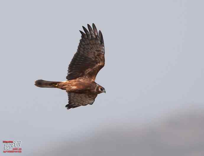 官厅水库&nbsp;wbr路&nbsp;wbr金秋十一猛