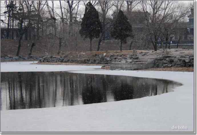 参加自然之友观鸟活动