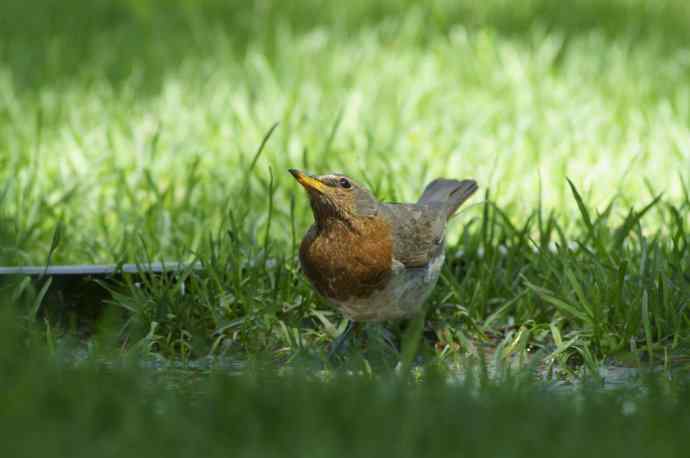 向博友老K致敬 向博友老K致敬