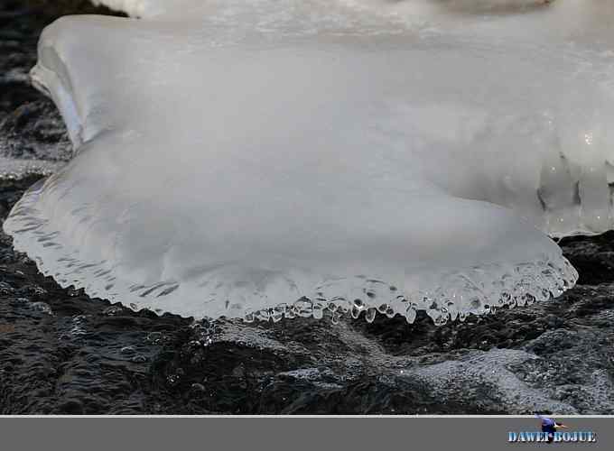 冰上鸭趣 冰上鸭趣