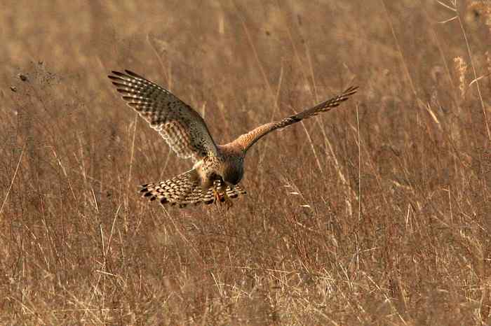 杭州老郑摄影续 杭州老郑摄影续