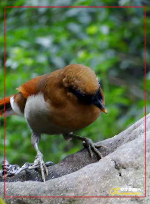 鈥溎袢蒜澋木适澜纭菊掌