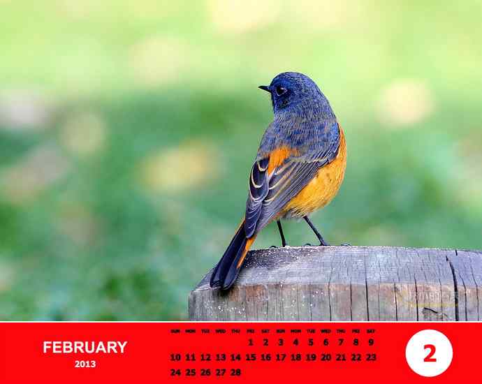 乘风追梦鈥斺斘业2012（附图）