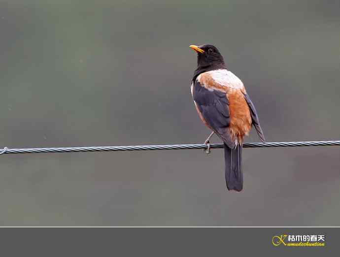 记录鈥溩乇澈谕佛粹