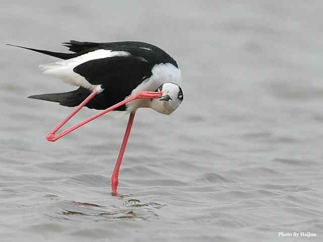 我憧憬那湾碧水 wbr. wbr我流连那片土地