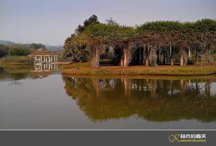 西双版纳拍鸟之二【实拍】