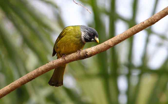洋县两天观鸟，秦岭如此美妙！
