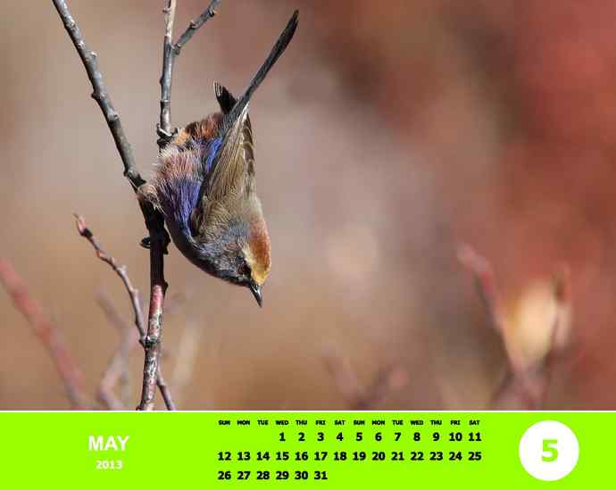 乘风追梦鈥斺斘业2012（附图）