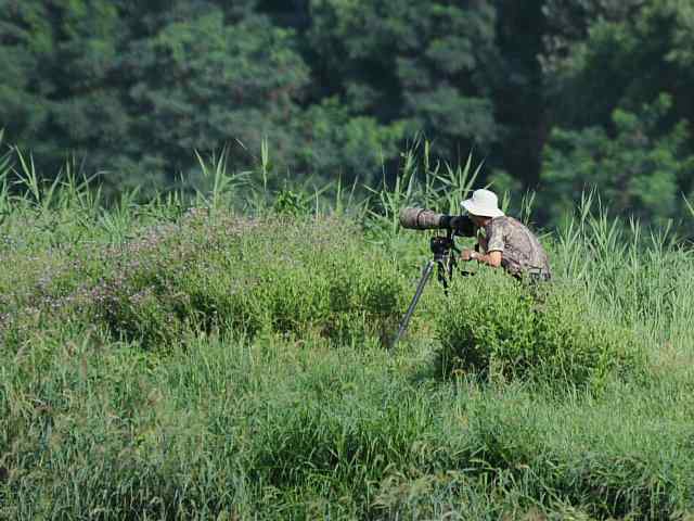 翠明湖畔观鸟儿情