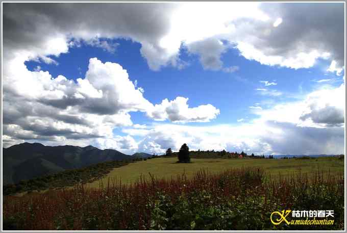 川西高原行•大美川西【照片】