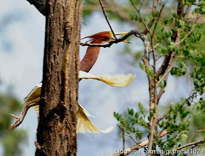 清仓晒鸟儿 清仓晒鸟儿
