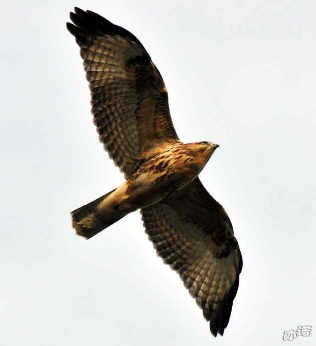 北京西山&nbsp;wbr路2010-10-12望京楼