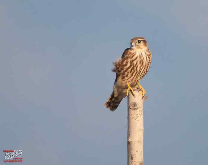 官厅水库&nbsp;wbr路&nbsp;wbr金秋十一猛