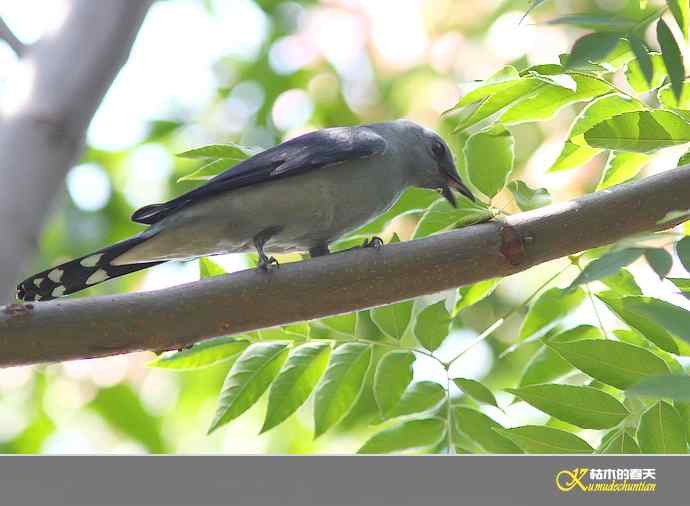 鈥湴祷揖轾V鈥澮蛔