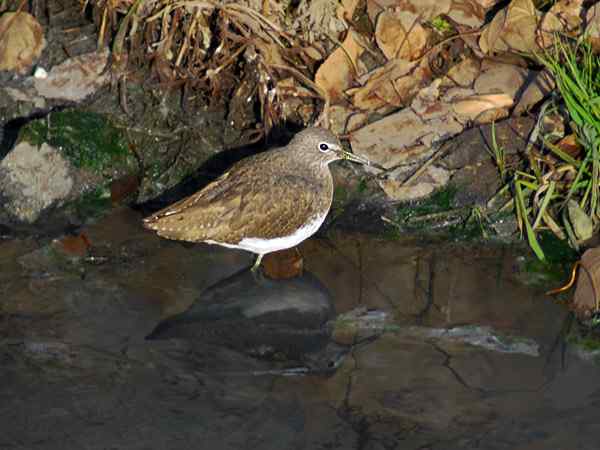 孤独的美丽（组图，17张图片）