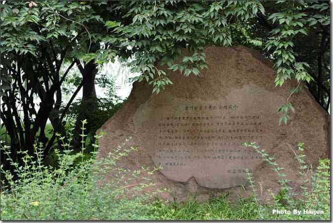  点击图片或使用键盘← →翻页