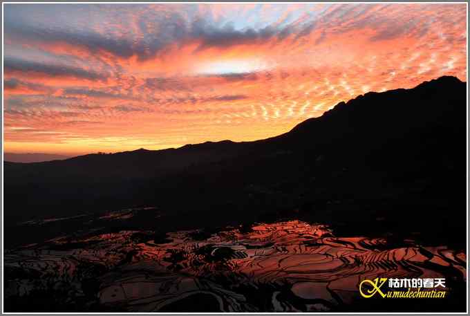 如梦的元阳梯田【照片】