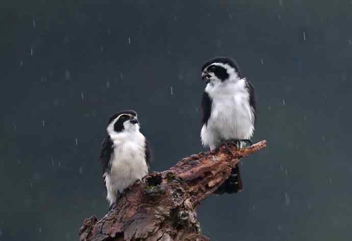 初冬婺源一日印象