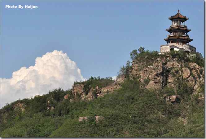 湿地拍鸟儿归来兮