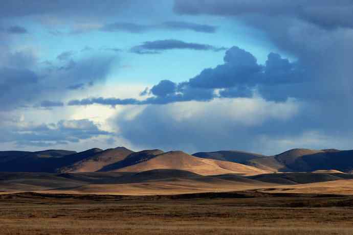 克旗草原 邂逅大鸨