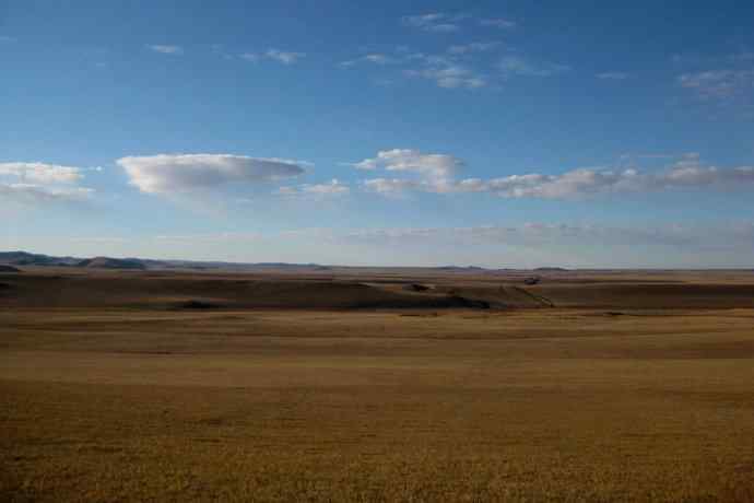 克旗草原 wbr邂逅大鸨