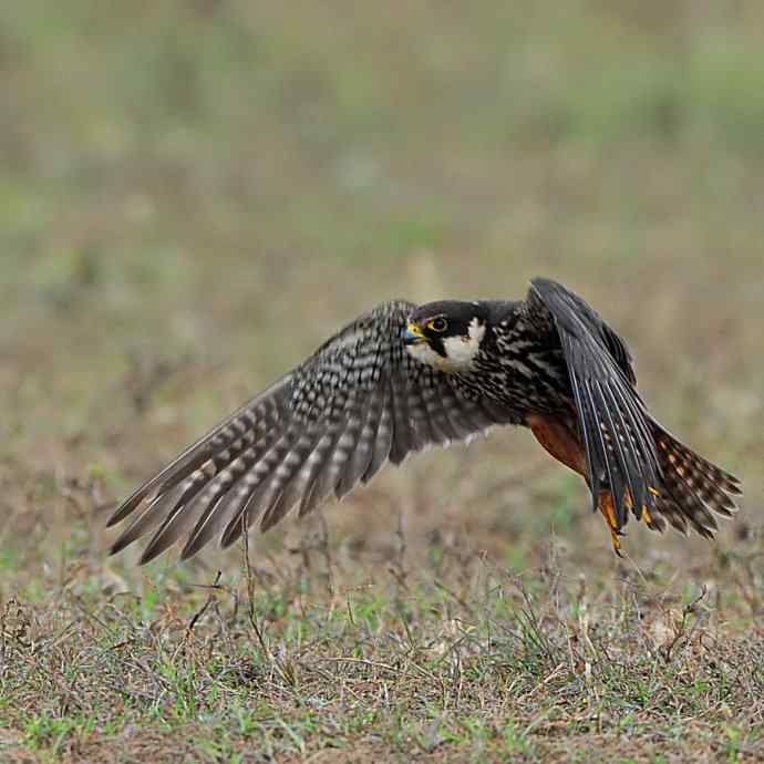 狂野周末鈥斺斆颓萜ㄅ级舭妫
