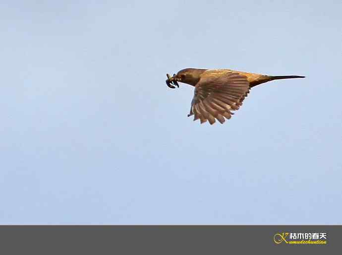 记录鈥溩乇澈谕佛粹