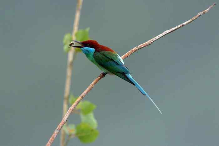 杭州老郑摄影续 杭州老郑摄影续