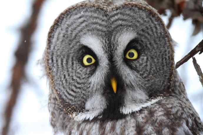 人生到处知何似 wbr恰似飞鸿踏雪泥