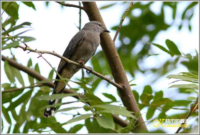 阳光明媚好心情【照片】 阳光明媚好心情【照片】
